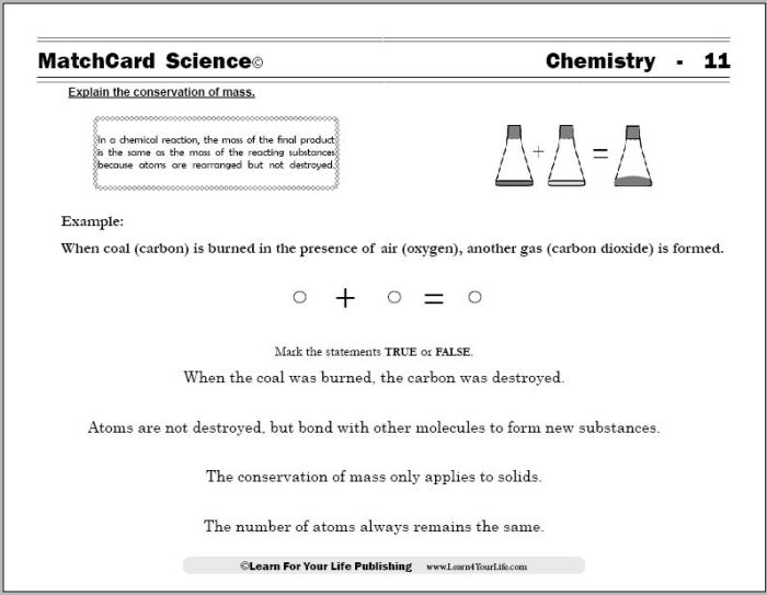 Law of conservation of mass worksheet