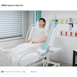 Sara lin vsim simulation steps