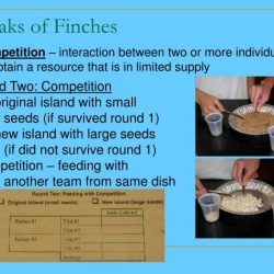 The beaks of finches state lab answer key pdf