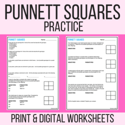 Punnett square practice all about dogs answer key