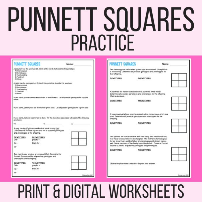 Punnett square practice all about dogs answer key